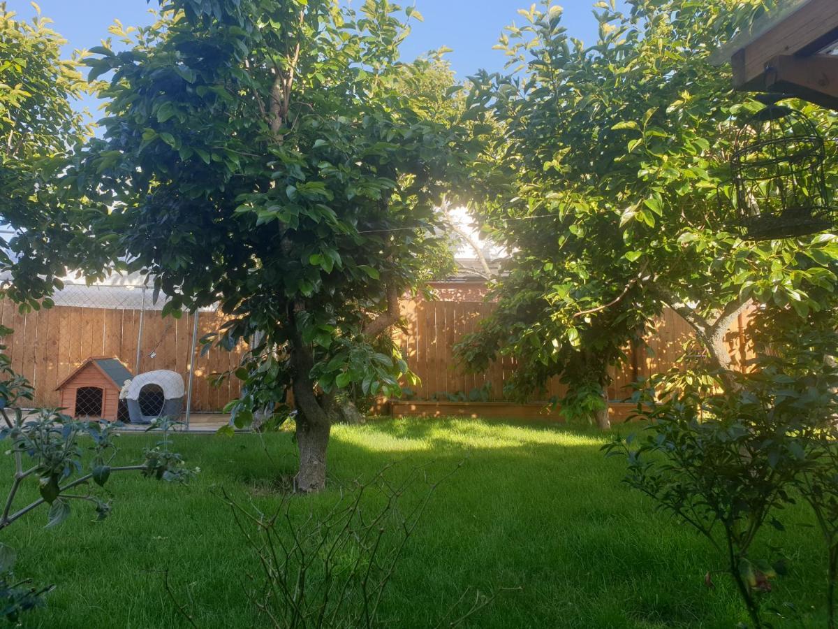 شقة Bed N Breakfast On Pear Tree Lane هاملتون المظهر الخارجي الصورة