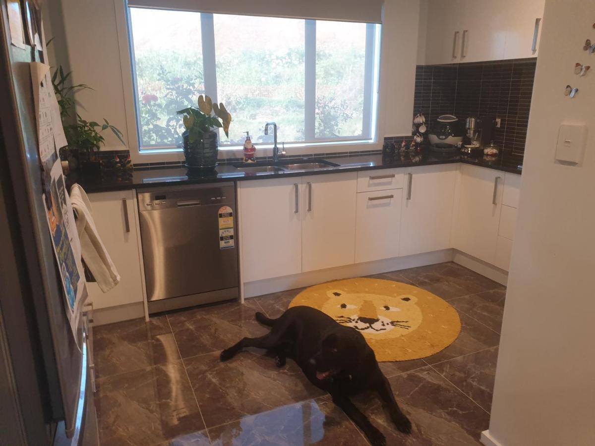 شقة Bed N Breakfast On Pear Tree Lane هاملتون المظهر الخارجي الصورة
